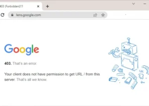 Fixing Google Chrome Error 403 Three Methods to Solve the Problem