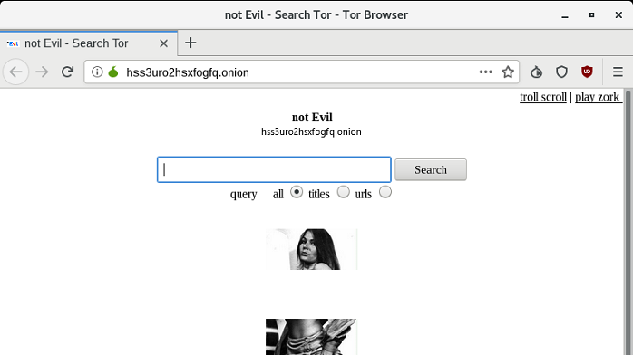 Not Evil search engine